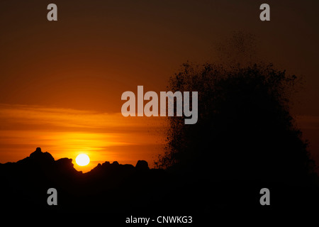 silhouettes of rocks and ocean spray in the sunset at Storms River mouth, South Africa, Western Cape, Garden-Route-Nationalpark Stock Photo