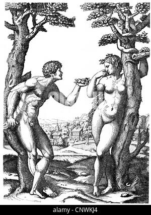 religion, biblical scenes, Adam and Eve, the Fall of Man, copper engraving by Marcantonio Raimondi after painting by Raffael, Italy, circa 1520, Artist's Copyright has not to be cleared Stock Photo