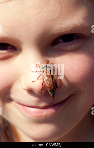 common cockchafer, maybug (Melolontha melolontha), sitting on a girl's nose, Germany