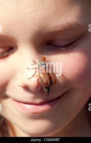common cockchafer, maybug (Melolontha melolontha), sitting on a girl's nose, Germany