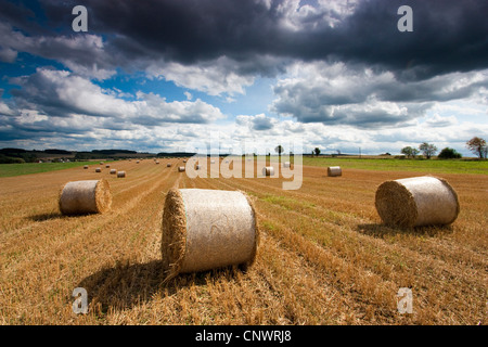 hay balls lying on stubble field, Germany, Saxony, Vogtlaendische Schweiz Stock Photo