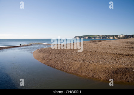 Axe Valley Estuary beach Stock Photo