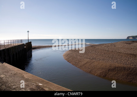 Axe Valley Estuary beach Stock Photo