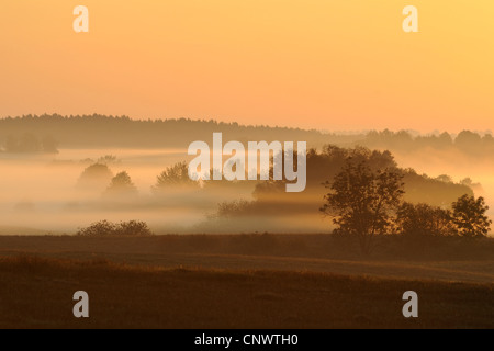 morning mist at sunrise in masuria landscape, Poland, Masuria, Gizycko Stock Photo