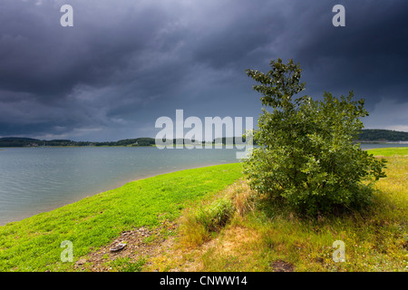 shore of lake Poehl under thunderclouds, Germany, Saxony, Vogtlaendische Schweiz, reservoir Poehl Stock Photo