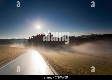 morning mist over a country road, Germany, Saxony, Vogtlaendische Schweiz Stock Photo