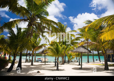 tropical beach in luxury resort in Mauritius, Mauritius Stock Photo