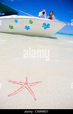 Starfish on white sand tropical beach, Mauritius Stock Photo