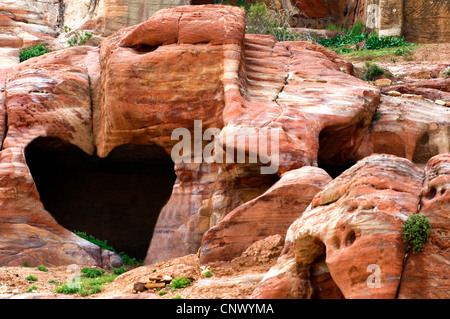 heart-shaped cave in rock formation, Jordan, Petra Stock Photo