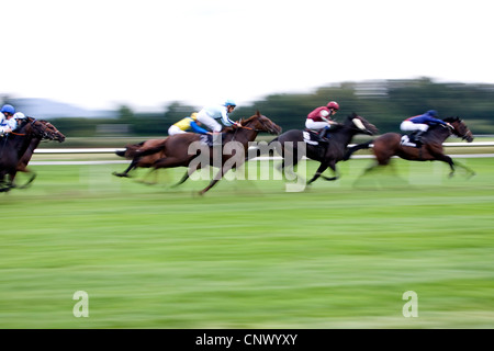 horse race, Germany, Baden-Wuerttemberg, Baden-Baden Stock Photo