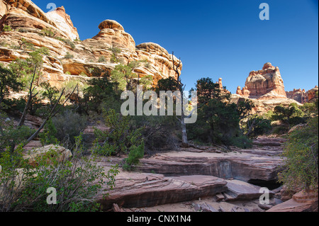 Needles rock formation and hiking trail in Needles District, Canyonlands National Park, Utah, USA Stock Photo