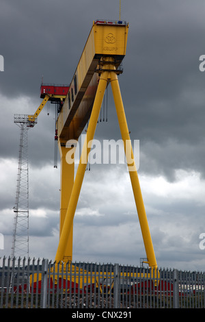 Samson, one of two Harland and Wolff landmark Belfast gantry cranes, River Lagan, Northern Ireland Stock Photo