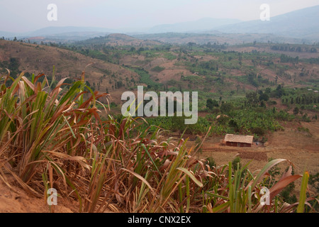 mud house standing in valley, Burundi, Karuzi, Karuzi Stock Photo