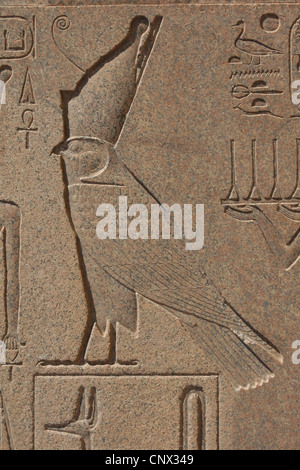 God Horus. Relief in the uninstalled obelisk of Queen Hatshepsut in the Karnak Temple Complex in Luxor, Egypt. Stock Photo