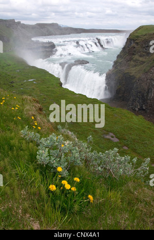 waterfall Gullfoss, at Hvita river, Iceland Stock Photo