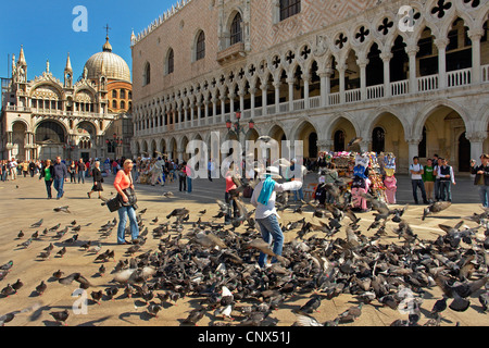 feeding pidgeons on Saint Mark's Square in front of Doge's Palace, Italy, Venice Stock Photo