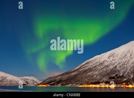 polar lights over Vasstinden, Norway, Troms, Kvaloeya Stock Photo