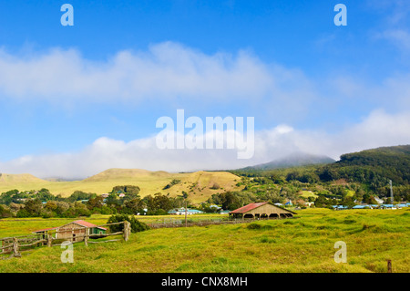 Parker Ranch, USA, Hawaii, Big Island Stock Photo