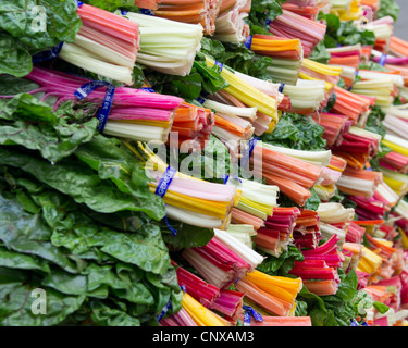 A display of colorful swiss chard at the farmers market Stock Photo