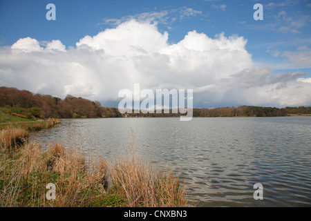 Cumulonimbus shower cloud over Talkin Tarn near Carlisle, Cumbria, Endland UK. Stock Photo