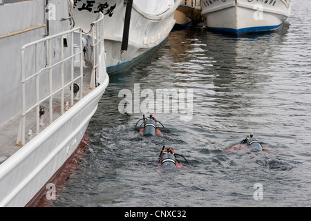 Japanese coast guard search underwater for the bodies of victims of the March2011 tsunami, in Kesennuma harbour, Tohoku, Japan. Stock Photo