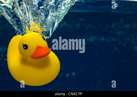 A rubber duck underwater Stock Photo