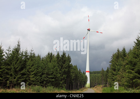 wind power station in coniferous forest, Germany, North Rhine-Westphalia, Siegen Stock Photo
