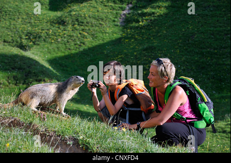 alpine marmot (Marmota marmota), mother and son talking pictures of a marmot in mountain meadow, France Stock Photo