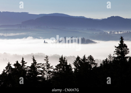 morning mist in the valleys of Arnsberg Forest , Germany, North Rhine-Westphalia, Sauerland, Meschede