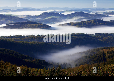 view from Loermecke tower to Arnsberg Forest Nature Park in morning mist, Germany, North Rhine-Westphalia, Sauerland, Warstein Stock Photo