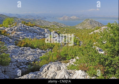 karst scenery at Lake Skadar, Montenegro, Lake Skutari Stock Photo
