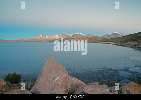 Chungar� Lake, Chile, Andes, Lauca National Park Stock Photo