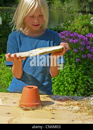 boy building a nesting aid vor bumble bees Stock Photo