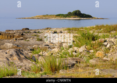 small island in front of the coast, Croatia, Istria Stock Photo