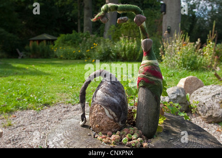 'felt stone trolls' serving as garden decoration: two natural stones equipped with caps of felted wool standing side by side on a tree snag, Germany Stock Photo
