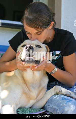 Labrador Retriever (Canis lupus f. familiaris), girl kissing head of a dog Stock Photo