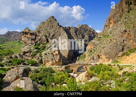 road bridge over Cendere River in a mountain landscape, Turkey, Adyaman, Karadut Stock Photo