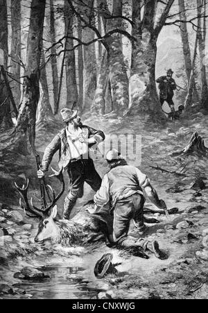 Caught poachers, historical illustration, wood engraving, about 1888 Stock Photo