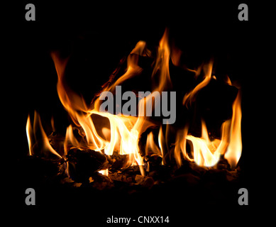 Camp fire with orange flames burning wood Stock Photo