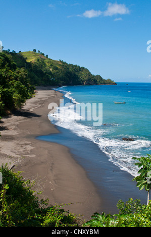 view from a hill on a Caribbean sand beach, Saint Vincent and the Grenadines, Petit Bordel Bay Stock Photo
