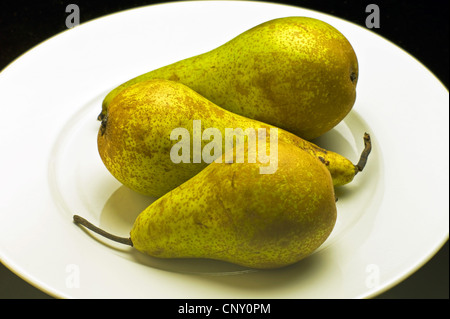 pear (Pyrus communis), three pears on a white plate Stock Photo