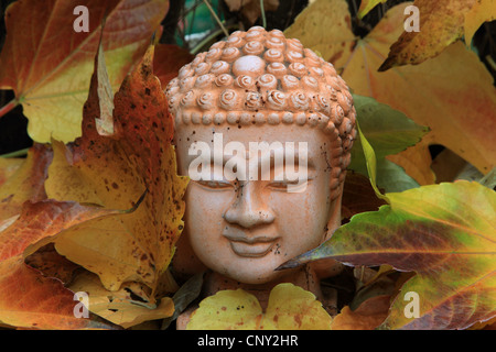 face of a Buddha statue looking out between colourful maple leaves, Germany Stock Photo