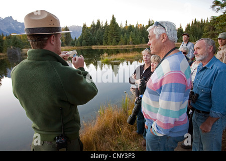 North American beaver, Canadian beaver (Castor canadensis, Castor Fiber canandensis), Park Ranger talking to tourists about beavers next to beaver pond, USA, Wyoming, Grand Teton NP Stock Photo