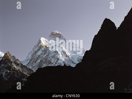 dramatic peak and south face of Jannu in the Kangchenjunga region, Nepal, Kangchendzoenga, Jannu Stock Photo