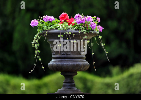 flowers in a pot in a garden Stock Photo