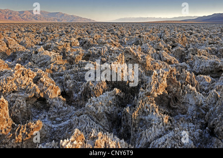 rough salt formations of Devils Golf Course in morning light, USA, California, Death Valley National Park Stock Photo