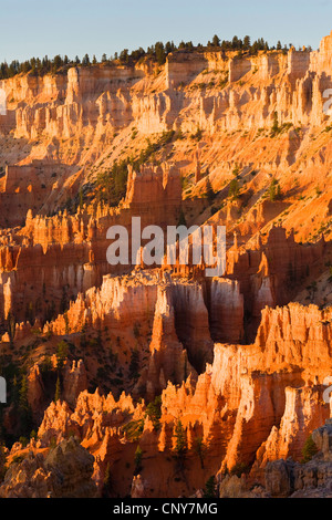 view of amphitheatre from the sunrise point in the morning, USA, Utah, Bryce Canyon National Park, Colorado Plateau Stock Photo