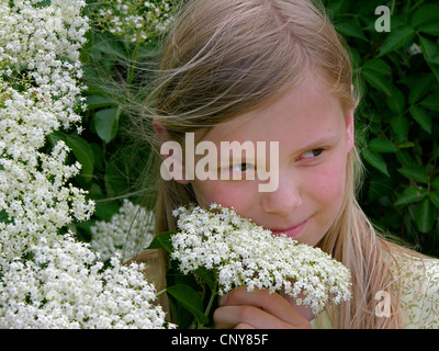 European black elder, Elderberry, Common elder (Sambucus nigra), girl smelling at elderflowers, Germany Stock Photo