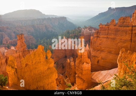 view to famous hoodoo 'Thor's Hammer' in the giant natural amphitheater of Bryce Canyon in morning light, USA, Utah, Bryce Canyon National Park, Colorado Plateau Stock Photo
