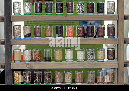 different seeds in glasses on a rack, Germany, Rhineland-Palatinate Stock Photo